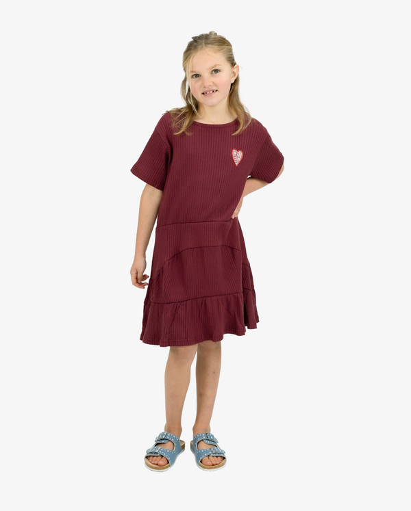 THE GIRL CLUB | Dark Plum Rib T-shirt Panel Dress