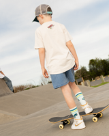 THE COLLECTIBLES | Triple Stripe Socks